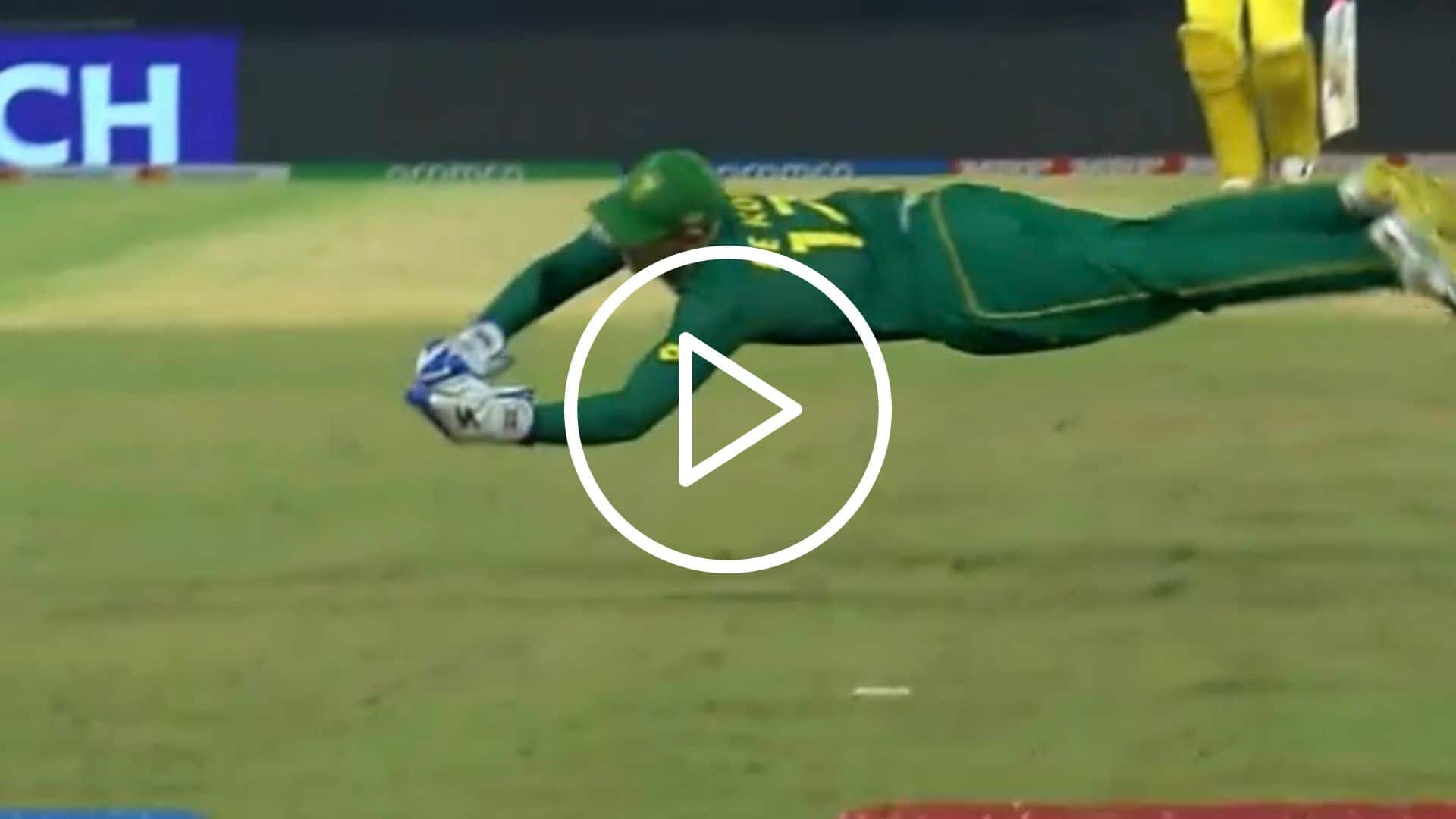 [Watch] Quinton de Kock Pouches Stunner To Dismiss Stoinis In SA vs AUS World Cup Match